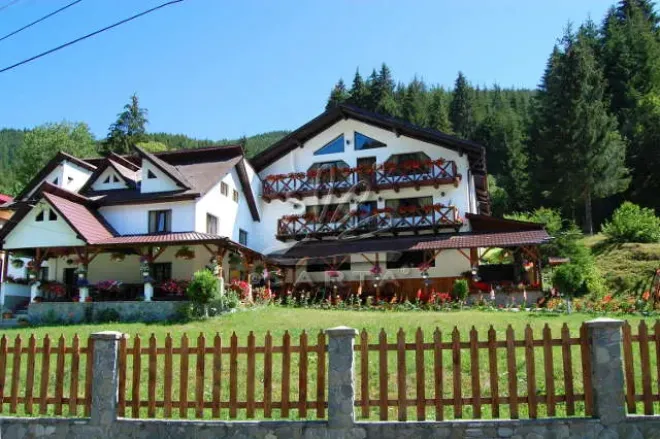 Restaurantul TAVERNA MOECIULUI